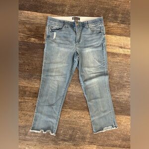 Democracy Women’s Jeans Size 16 Elastic Waist Light Wash Denim “AB Technology”